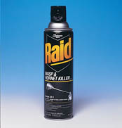 14oz. Raid Wasp & Hornet Killer (12/cs)